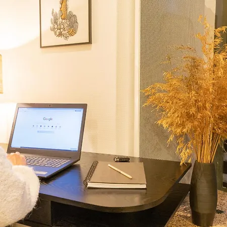 Appartement Le Rinaldi Albi