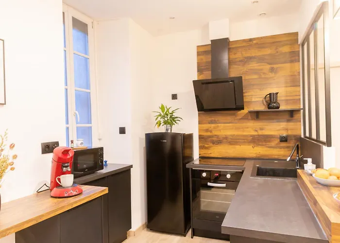 Le Rinaldi Appartement Albi