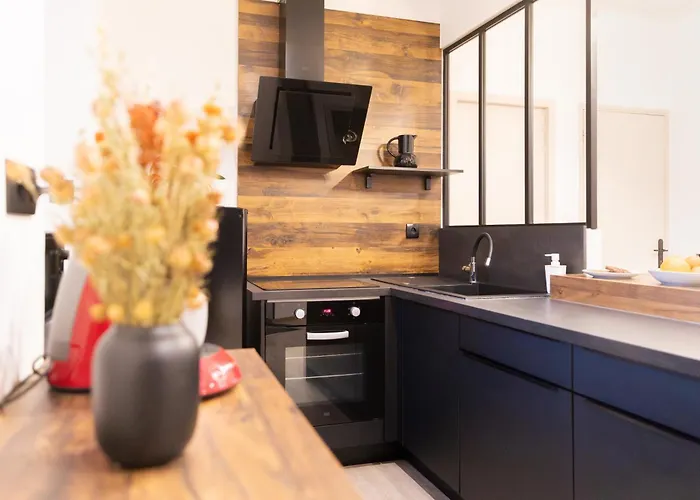 Le Rinaldi Appartement Albi